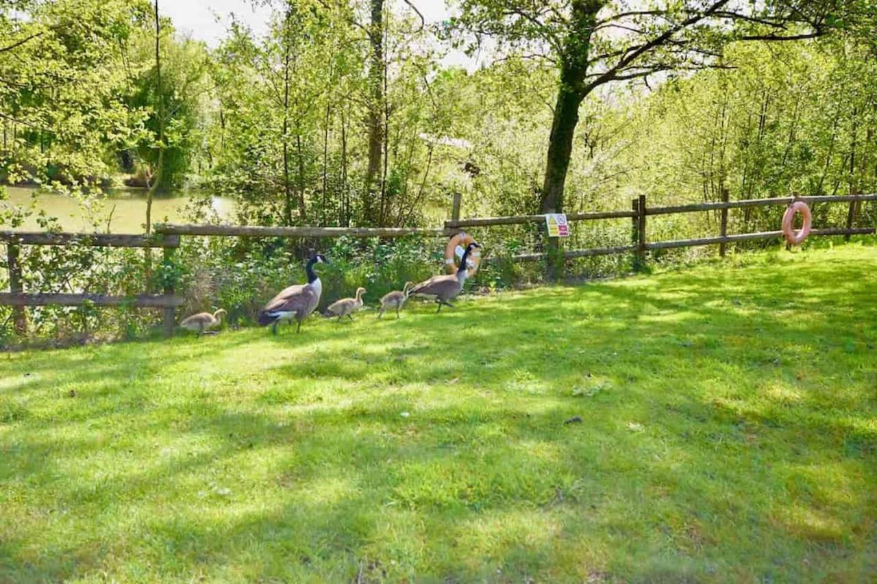 E7 Roebeck Country Park Ryde (Isle of Wight) Exterior foto